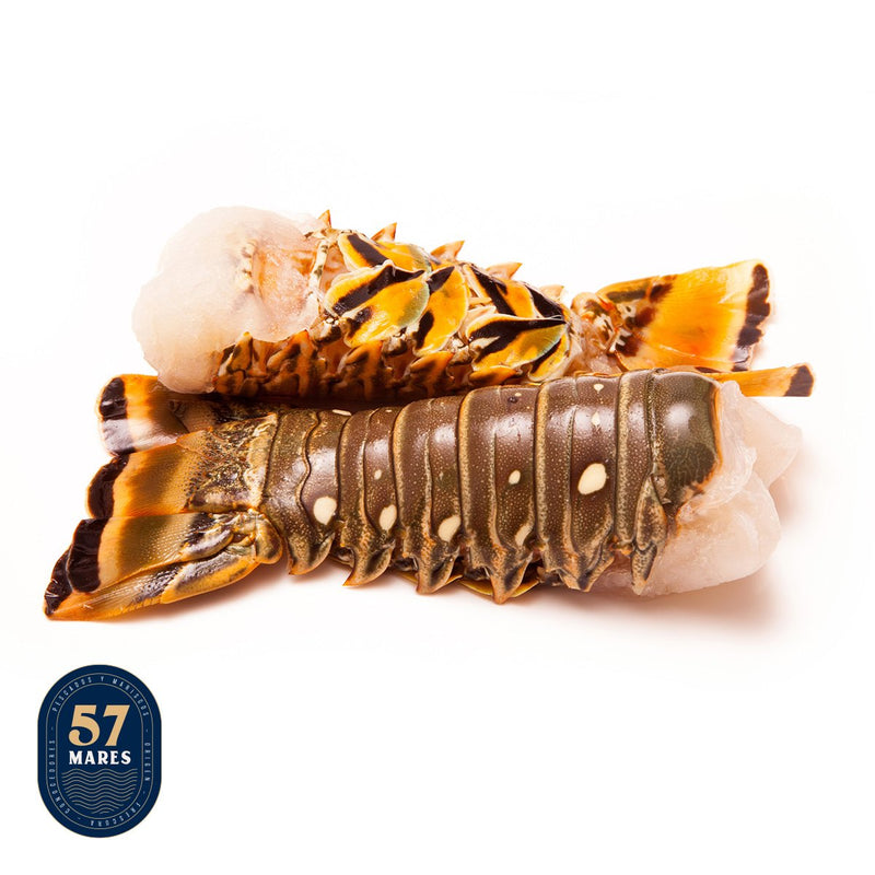 Cola de Langosta Caribeña 57 Mares 1 pz de 400 g a 800 g